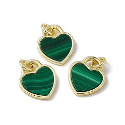 Malachite Natural Malachite Heart Charms, with Rack Plating Golden Tone Brass Findings, Cadmium Free & Lead Free, 14x12x2mm, Hole: 3mm