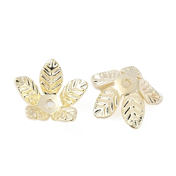 Настоящее золото 14K Шапочки и конусы для бусин, латунные, 5-лепестков цветка, реальный 14 k позолоченный, 11.5x12x4 мм, отверстие : 1.4 мм