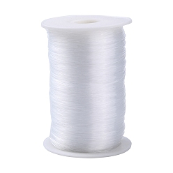 Clear Nylon Wire, Fishing Line, Beading Thread, Clear, 0.8mm, about 328.08 yards(300m)/roll