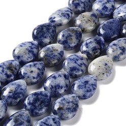 Jaspe Avec Point Bleu Perles de jaspe tache bleue naturelle, larme, 17.5~18x13x6mm, Trou: 1.2mm, Environ 22 pcs/chapelet, 15.24 pouce (38.7 cm)