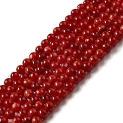 Brown Natural Freshwater Shell Beads Strands, Round, Dyed, Brown, 3mm, Hole: 0.5mm, about 124~132pcs/strand, 14.96''(38cm)