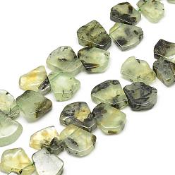 Prehnite Perles naturelles préhnite brins, fan, 16~24x12~22x5~8mm, Trou: 1mm