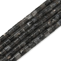 Larvikite Натуральные нити бус из ларвикита, колонка, 4.5x4.5 мм, отверстие : 0.8 мм, около 85~89 шт / нитка, 14.88''~15.16'' (37.8~38.5 см)