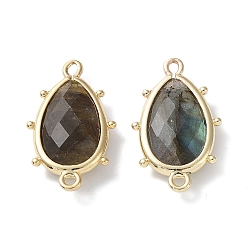 Labradorite Natural Labradorite Connector Charms, with Golden Plated Brass Edge Loops, Faceted, Teardrop, 24x14.5x5mm, Hole: 1.2mm & 1.4mm
