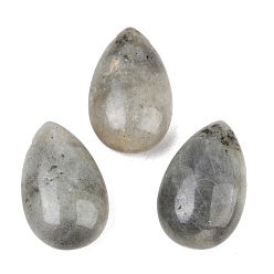 Лабрадорита Природные подвески лабрадорита, слезинки, 28~28.5x18~18.5x6~6.5 мм, отверстие : 2.5~3 мм