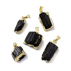 Golden Natural Black Tourmaline Pendants, Nuggets Charms, with Brass Findings, Cadmium Free & Lead Free, Golden, 16~27.5x9.5~17x7~11.5mm, Hole: 5x8mm