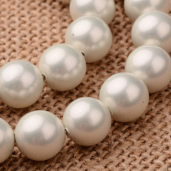 Beige Polished Round Grade A Shell Pearl Bead Strands, Beige, 12mm, Hole: 1mm, about 33pcs/strand, 16.2 inch
