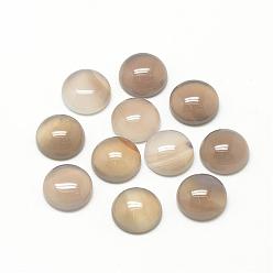 Grey Agate Natural Gray Agate Cabochons, Half Round/Dome, 14x5~6mm