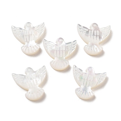 Белый Природного шарики оболочки, горизонтальное отверстие, птица, белые, 13x13x3 мм, отверстие : 0.7 мм