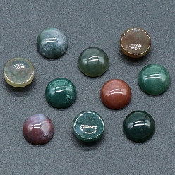 Indian Agate Natural Indian Agate Cabochons, Half Round, 10x5mm