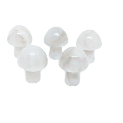 Natural Agate Natural Agate Healing Mushroom Figurines, Reiki Energy Stone Display Decorations, 20mm