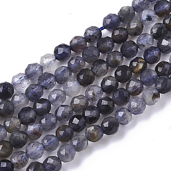 Iolite Natural Iolite/Cordierite/Dichroite Beads Strands, Faceted, Round, 3mm, Hole: 0.6mm, about 120pcs/Strand, 15.35 inch(39cm)