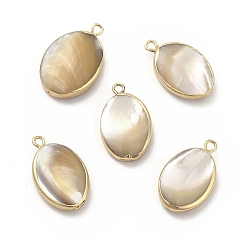 Light Gold Natural Trochus Shell Charms, with Brass Loops, Oval, Light Gold, 22~24x13~15x5~6mm, Hole: 1.8mm