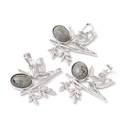 Labradorite Natural Labradorite Pendants, with Platinum Tone Brass Findings, Cadmium Free & Lead Free, Bird with Oval Charms, 29x32x6mm, Hole: 5x8mm