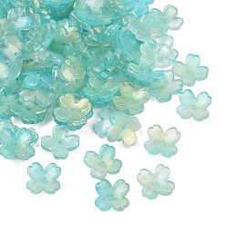 Темно-бирюзовый Двухцветные прозрачные колпачки для стеклянных бусин, 4-лепестков цветка, с блеском порошок, темные бирюзовый, 13x13x4.5 мм, отверстие : 1.2 мм, Около 1370 шт / 1000 г