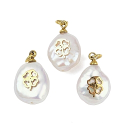 Клевер Натуральные кеши жемчужные подвески, подвески-слезинки с 316 ломтиками из нержавеющей стали, ионное покрытие (ip), реальный 18 k позолоченный, цветочный белый, клевер, 15~18x10~12x6~7 мм, отверстие : 2.8 мм