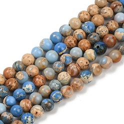 Озёрно--синий Нити бусин из окрашенного натурального регалита/императорской яшмы/морского осадка яшмы, круглые, Плут синий, 4 мм, отверстие : 1.2 мм, около 45 шт / нитка, 7.68'' (19.5 см)