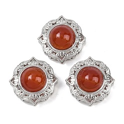 Красный Агат Окрашенные и нагретые натуральные цветочные звенья из сердолика, Латунные коннекторы, платина, стойки покрытие, 18x18x11 мм, отверстие : 2~3 мм