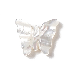 White Shell Natural White Shell Beads, Butterfly, 11x12.5x2mm, Hole: 1mm