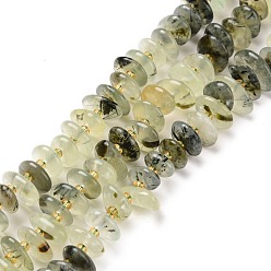 Prehnite Natural Prehnite Beads Strands, Chip, 5~18x3~9x2~5mm, Hole: 1mm, about 67~69pcs/strand, 15.55''(39.5~40cm)
