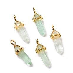 Fluorite Natural Fluorite Pendants, Faceted, with Golden Tone Brass Findings, Lead free & Cadmium Free, Bullet, 27~30x9~10x7~8mm, Hole: 4x3mm