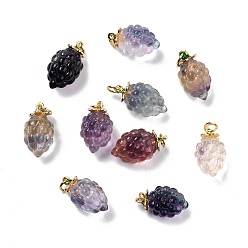 Fluorite Autumn Theme Natural Fluorite Carved Pendants, with Golden Plated Brass Findings and Green Enamel, Grape, 18.5~20x11.5mm, Hole: 3.6mm