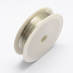 Silver Round Iron Wire, Silver, 24 Gauge, 0.5mm, about 22.96 Feet(7m)/roll, 10 rolls/set