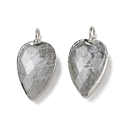 Labradorite Natural Labradorite Pendants, with Brass Edge Loops, Faceted, Heart Charms, 23~23.5x12~12.5x5.5mm, Hole: 3mm