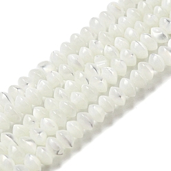 WhiteSmoke Natural Trochus Shell Rondelle Beads Strands, Saucer Beads, WhiteSmoke, 3x2mm, Hole: 0.5mm, about 202~205pcs/strand, 15.94~16.14''(40.5~41cm)