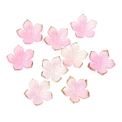 Pink Непрозрачные акриловые колпачки шарик, цветок, с золотым краем, розовые, 22.5~23x23.5~24x5 мм, отверстие : 1.4 мм, Около 1020 шт / 500 г