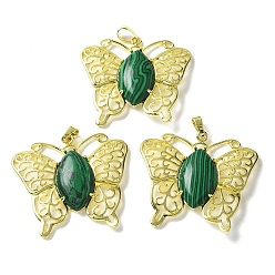 Малахит Синтетического малахита подвески, латунные подвески-бабочки, золотые, стойки покрытие, без кадмия и без свинца, 41.5x45x8 мм, отверстие : 8x4.5 мм