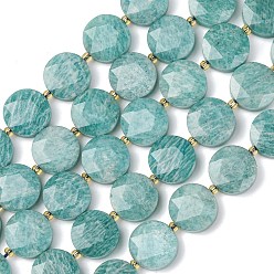 Амазонит Природных амазонит бисер нитей, плоско-круглые, граненый шестиугольный разрез, с бисером, 15~15.5x5 мм, отверстие : 1.2 мм, около 22 шт / нитка, 14.96'' (38 см)