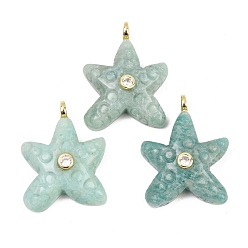 Amazonita Colgantes naturales amazonita, Colgantes de estrella de mar con detalles de latón y circonitas cúbicas transparentes microengaste., 27~28.5x21~21.5x8.5~9 mm, agujero: 3 mm