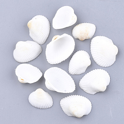 White Clam Shell Beads, Undrilled/No Hole Beads, White, 19~27x24~33x8~10mm