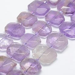 Ametrine Natural Ametrine Beads Strands, Faceted, Rectangle, 24~27x18~20x8~9mm, Hole: 1.5mm, about 17pcs/strand, 14.9 inch(38cm)
