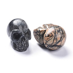 Netstone Halloween Natural Netstone Decorations, Skull, 38~38.5x32~32.5x49~50mm