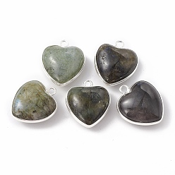 Labradorite Natural Labradorite Pendants, with Silver Color Plated Brass Findings, Heart Charms, 18~19x15~17x7~10mm, Hole: 2mm