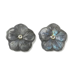 Лабрадорита Резные подвески из натурального лабрадорита, подвески-цветы с латунной бабочкой из прозрачного кубического циркония, реальный 18 k позолоченный, долговечный, стойки покрытие, 30x30.5x6 мм, отверстие : 1.4 мм