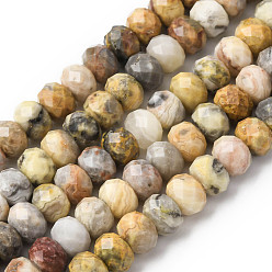 Сумасшедший Агат Природные сумасшедший агат бисер нитей, рондель, граненые, 8x5.5~6 мм, отверстие : 1 мм, около 62 шт / нитка, 15.04'' (38.2 см)