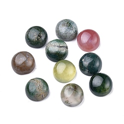 Indian Agate Natural Indian Agate Cabochons, Half Round, 8x3.5~4mm