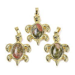 Унакит Подвески из натурального унакита и латуни, стойки покрытие, без кадмия и без свинца, в форме морской черепахи, 38x27.5x7 мм, отверстие : 8x5 мм