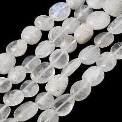 Rainbow Moonstone Grade A Natural Rainbow Moonstone Beads Strands, Nuggets, Tumbled Stone, 8~14x8~9x4~9mm, Hole: 1mm, about 43pcs/strand, 16.54''(42cm)