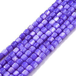 Mauve Natural Freshwater Shell Beads Strands, Dyed, Column, Mauve, 3.5x3.5mm, Hole: 0.8mm, about 110~113pcs/strand, 14.69 inch~15.08 inch(37.3~38.3cm)