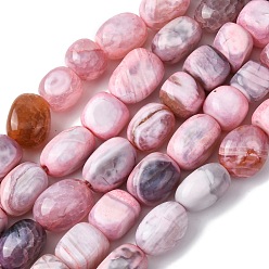 Бледно-фиолетовый Красный Природных вены драконов агат бисер нитей, покрасил и подогрел, бледно-фиолетовый красный, 10~21x10~22x13~16 мм, отверстие : 2 мм, около 21~23 шт / нитка, 14.29~14.76 дюйм (36.3~37.5 см)