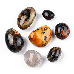 Mixed Color Natural Sardonyx Agate Home Display Decorations, Dyed, Tumbled Stone, Healing Stones for Chakras Balancing, Crystal Therapy, Meditation, Reiki, Nuggets, Mixed Color, 31~61.5x26.5~46x20~31mm, about 17pcs/1000g