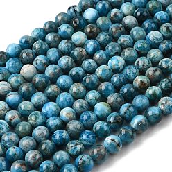 Апатит Природного апатита нитей бисера, круглые, 8 мм, отверстие : 0.9 мм, около 47 шт / нитка, 15.35 дюйм (39 см)