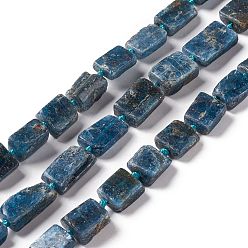 Kyanite Natural Kyanite Beads Strands, Rectangle, 9~18x7.5~8x4~5mm, Hole: 1.8mm, about 26~32pcs/strand, 16.34~16.54 inch(41.5~42cm)