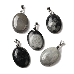 Пикассо Камень Подвески из натуральной пикассо яшмы, овальные подвески со стойкой, латунные кнопки с платиновым покрытием, защелки на дужках, 30x21.5~22x6~6.5 мм, отверстие : 6x4 мм