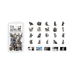 Light Grey Cat PET Sticker, for Water Bottles, Laptop, Phone, Skateboard Decoration, Light Grey, 50x50mm