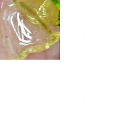 Желтый 30шт. акриловых колпачков для бусин для изготовления ветряных колокольчиков, мульти-лепесток цветка, желтые, 21~24.5x13 мм, отверстие : 2 мм